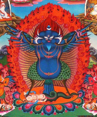 l-envol-du-garuda